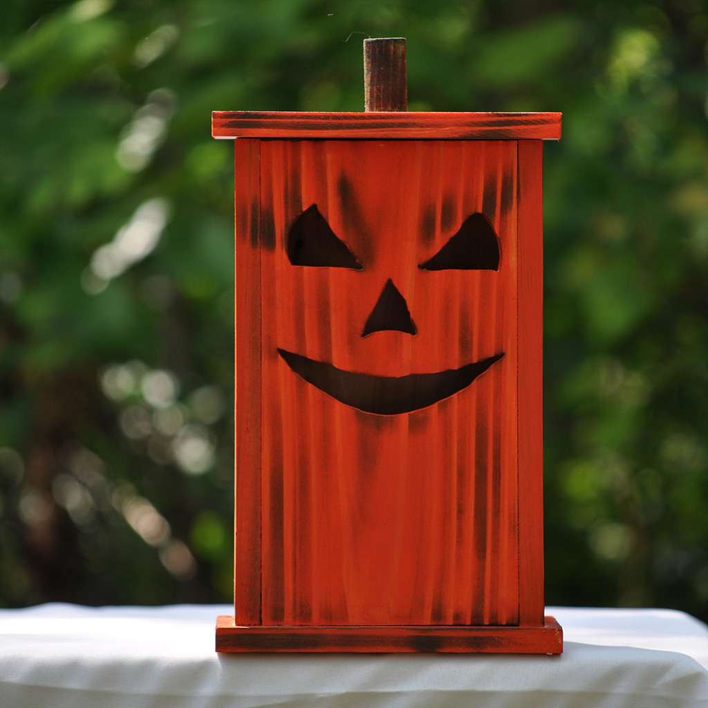 Handcrafted large wooden birdhouse made by 12-year-old Timmy