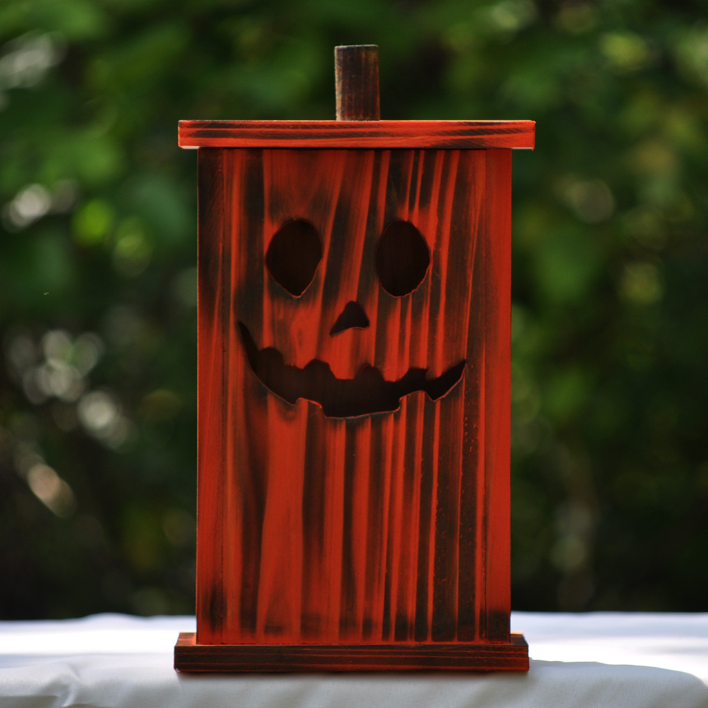 Handcrafted large wooden birdhouse made by 12-year-old Timmy